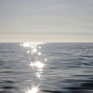 不过，and三级片的网站能看的网站
