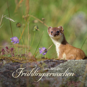 不过，and三级片的网站能看的网站
